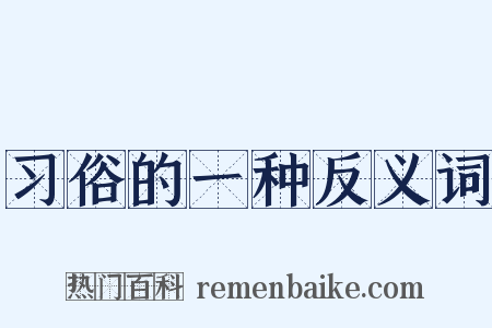 习俗的一种反义词是什么意思的图片